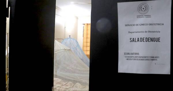 La Nación / Se duplicaron los casos de dengue en el país, según Salud Pública