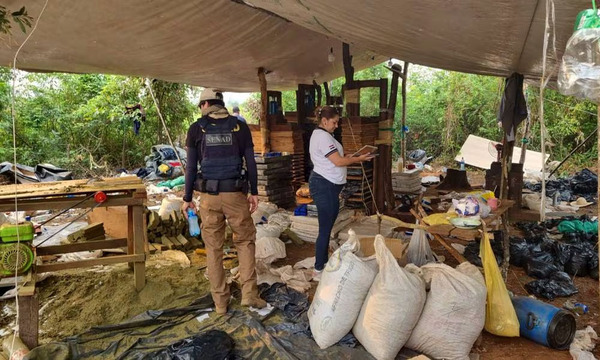 La senad destruyó 5 toneladas de marihuana y un complejo de producción en Canindeyú