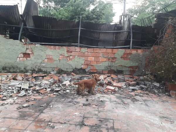 Perrita heroína alerta sobre incendio y salva a tres personas en Lambaré - Mascotas - ABC Color