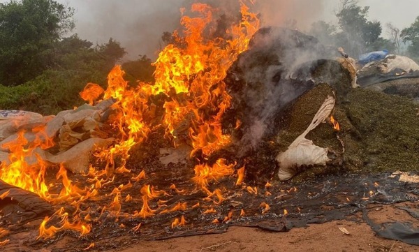 Senad destruyó casi 5 toneladas de marihuana y un complejo logístico de producción narco en Canindeyú - Megacadena - Diario Digital