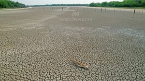 Diario HOY | Histórica lucha contra la sequía en el Chaco: 8 meses sin lluvia