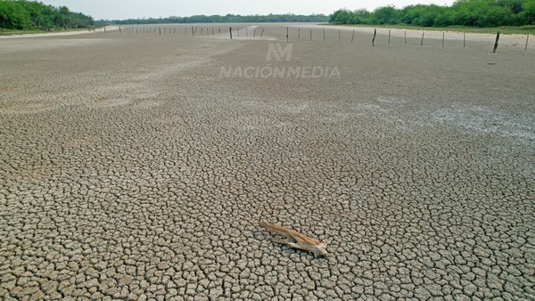 Diario HOY | Histórica lucha contra la sequía en el Chaco: 8 meses sin lluvia