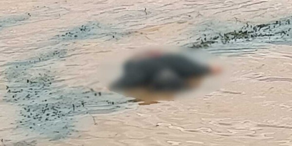 HALLARON UN CADÁVER EN EL ARROYO POTI Y DE ENCARNACIÓN - Itapúa Noticias