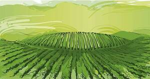 La Nación / La mejor exportación 2023 tiene el color verde del campo