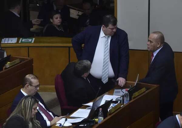El cartismo controla el Congreso y apeligra institucionalidad democrática - Política - ABC Color
