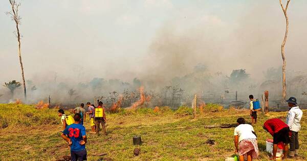 La Nación / Incendios forestales avanzan en tres departamentos de Bolivia