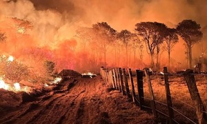 Declaran en emergencia estados de Pantanal en Brasil ante incendios | 1000 Noticias
