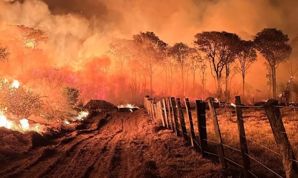 Declaran en emergencia estados de Pantanal en Brasil ante incendios | 1000 Noticias
