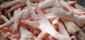 Diario HOY | Hasta el piecito del pollo: Corea del Sur interesada en comprar desde Paraguay