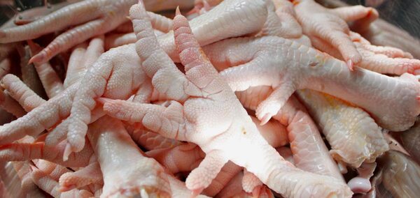 Diario HOY | Hasta el piecito del pollo: Corea del Sur interesada en comprar desde Paraguay