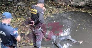 Hallan cadáver en arroyo de PJC