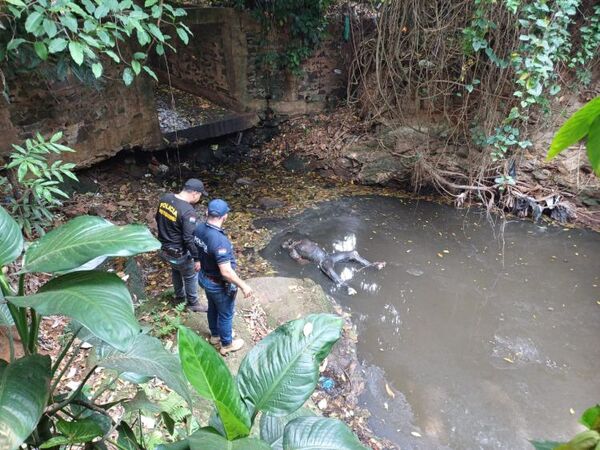 PJC: Huyó esposado de una Comisaría y días después fue hallado muerto