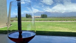 Mendoza, la capital donde el vino y el turismo contrajeron boda