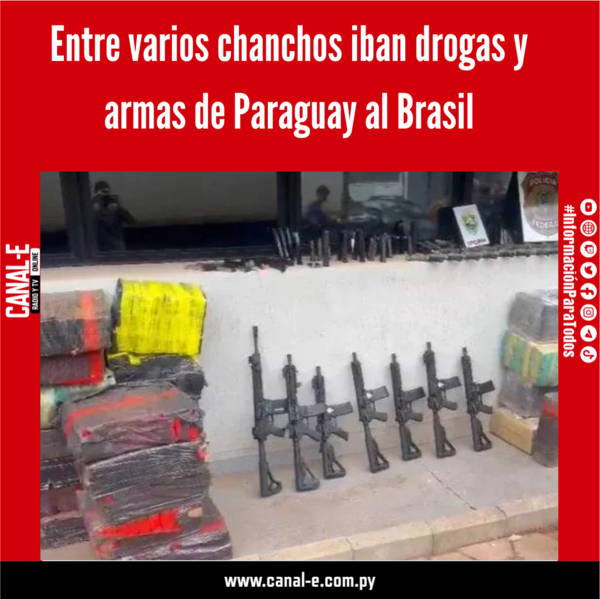 Entre varios chanchos iban drogas y armas de Paraguay al Brasil