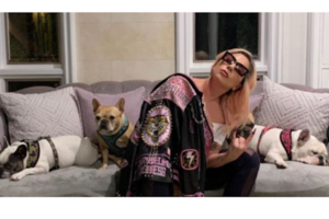 21 años de carcel para el hombre que robo el perro de Lady Gaga