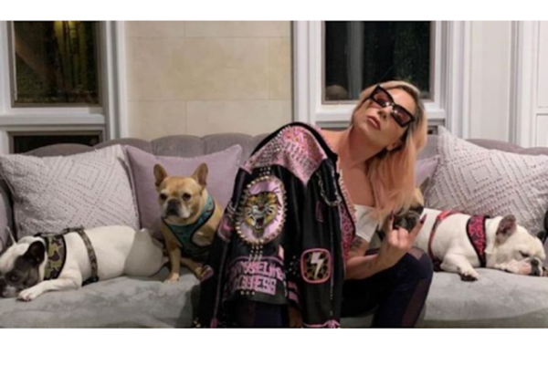 21 años de carcel para el hombre que robo el perro de Lady Gaga