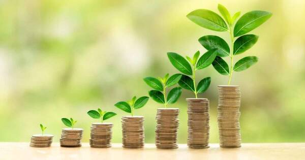 La Nación / Crédito del FMI, oportunidad para utilizar recursos naturales