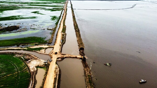 Inundaciones ponen en riesgo el 54% de la superficie de arroz