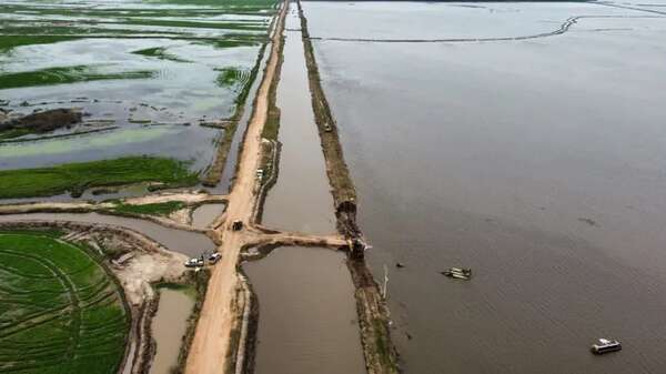 El Niño pone en jaque más de US$ 400 millones de los arroceros - Nacionales - ABC Color