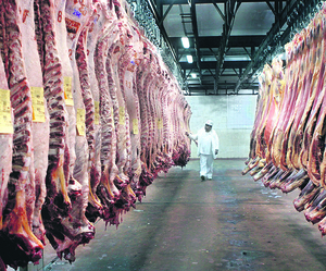 Appec apunta al mercado chino las exportaciones de carnes