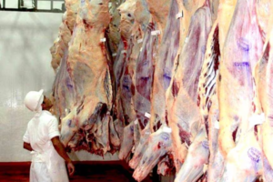 Frigoríficos paraguayos concretan venta de 10.000 toneladas de carne a Estados Unidos