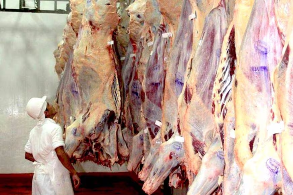 Frigoríficos paraguayos concretan venta de 10.000 toneladas de carne a Estados Unidos
