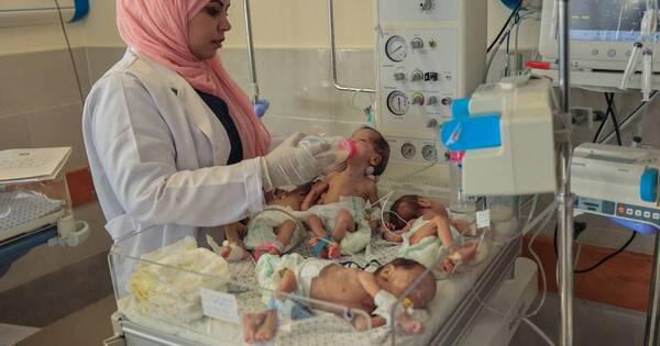La Nación / Egipto: llegaron 29 bebés prematuros evacuados de Gaza