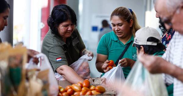 La Nación / Realizarán nueva feria de tomates con calidad y buen precio