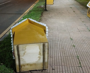 Lamentan destrucción de adornos navideños en CDE - La Clave