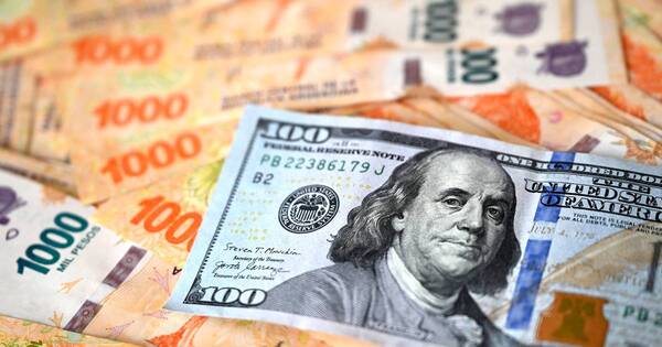 La Nación / Efecto Milei: devaluación del peso ya se sintió hoy, pero reacción real del mercado se tendrá mañana
