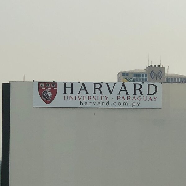 Diario HOY | “Harvard University Paraguay” no tiene existencia legal en el país, aclaran