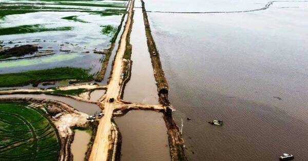 La Nación / Arroz: las inundaciones ponen en riesgo el 54 % del área sembrada