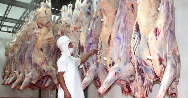 La Nación / Frigoríficos locales concretan venta de 10.000 t de carne a EE. UU.