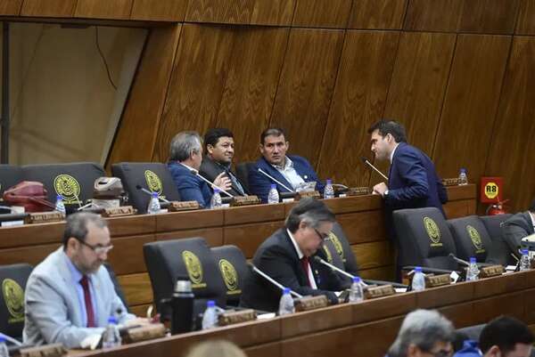 PGN 2024: se prevé más de G. 32.000 millones para las ONG - Economía - ABC Color
