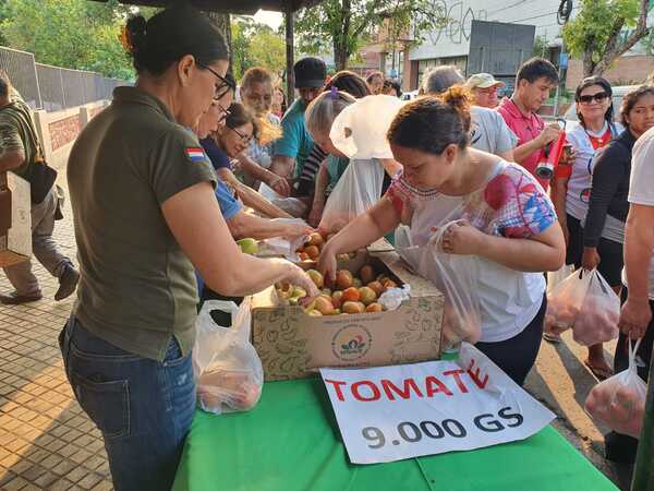 Diario HOY | Tomate a G. 9.000 el kilo hoy en ferias simultáneas