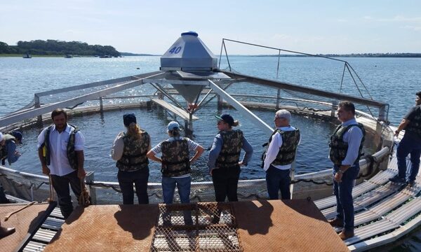 Técnicos del área de embalse de ITAIPU visitaron Instituto de Pesca en São Paulo