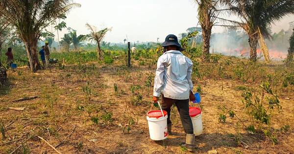 La Nación / Bolivia: golpes de calor provocan 13 fallecidos