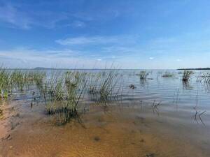 La calidad del agua del lago Ypacaraí presenta una excelente mejoría