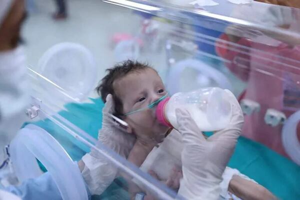 OMS dice que 180 bebés nacen a diario en Gaza, muchos sin atención adecuada - Mundo - ABC Color
