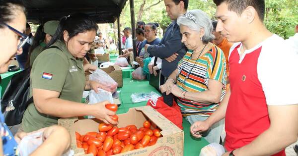 La Nación / Tomate a G. 9.000: intenso movimiento registra feria