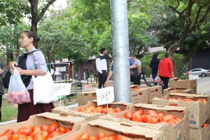 Ferias simultaneas en tres localidades ofrecen tomates a G. 9.000 el kilo - ADN Digital