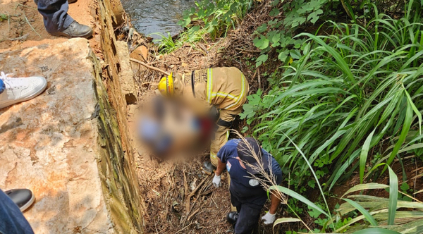Diario HOY | Boliviano fue "ajusticiado" y arrojado al costado de un arroyo en Pdte. Franco