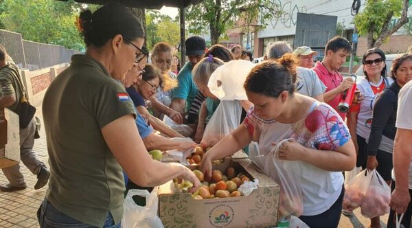 Tomate a G. 9.000 el kilo hoy en ferias simultáneas