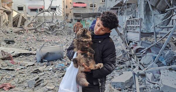 La Nación / Guerra Israel-Hamás estaría cerca de una tregua