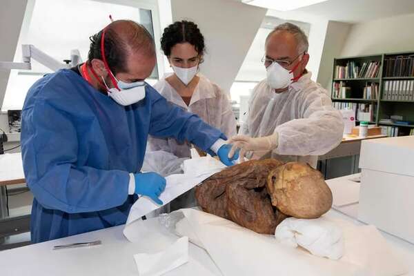 Suiza devuelve tres momias precolombinas a Bolivia - Ciencia - ABC Color