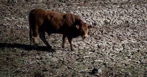 La Nación / La sequía se agrava en Cataluña