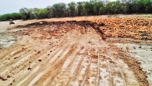 Lluvia en el Chaco aplaca la sequía, aunque no la sed de los pobladores