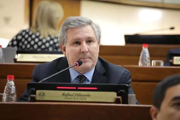 Decreto de Peña sobre Pucheta es inconstitucional dice Filizzola - Política - ABC Color