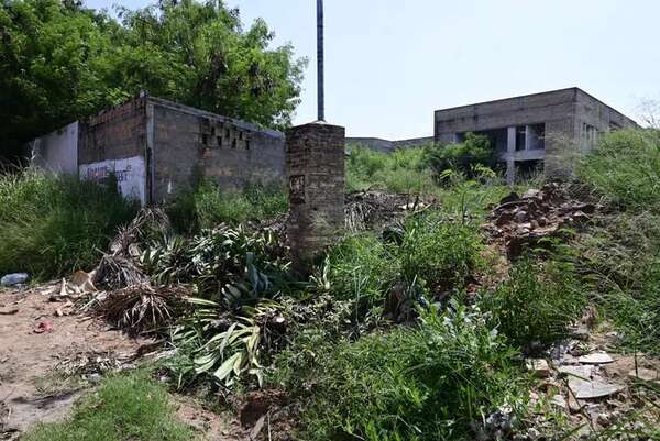 INAN: buscarán ayuda internacional para avanzar en construcción de mega edificio abandonado desde 2014 - Nacionales - ABC Color