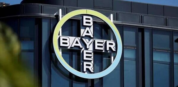 Bayer se hunde un 18% en bolsa tras interrumpir un estudio sobre su nuevo anticoagulante - Revista PLUS
